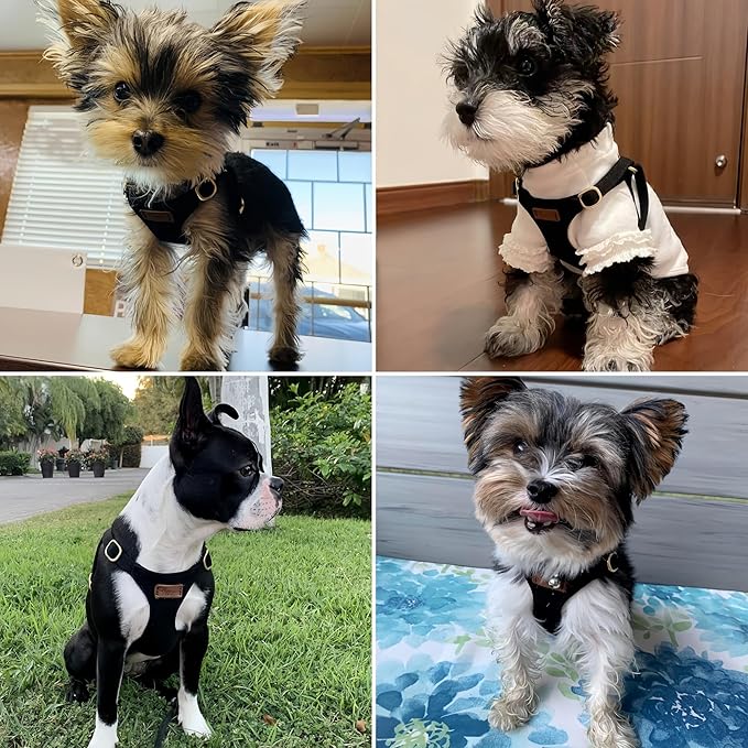 Puppytie No Pull Small Dog Harness with Multifunction Dog Leash,Lightweight Soft Adjustable No Choke Escape Proof Pet Harness Vest Pet Harness Vest,Black,M - PAWPICO