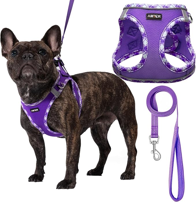 AMTOR Small Dog Harness with Leash Set, No Escape Easy Walk Puppy Harnesses for Training Walking, Step-in Reflective Soft Dogs Vest for XS S Medium Extra-Small Large Sized Dog(Purple,XXS) AMTOR
