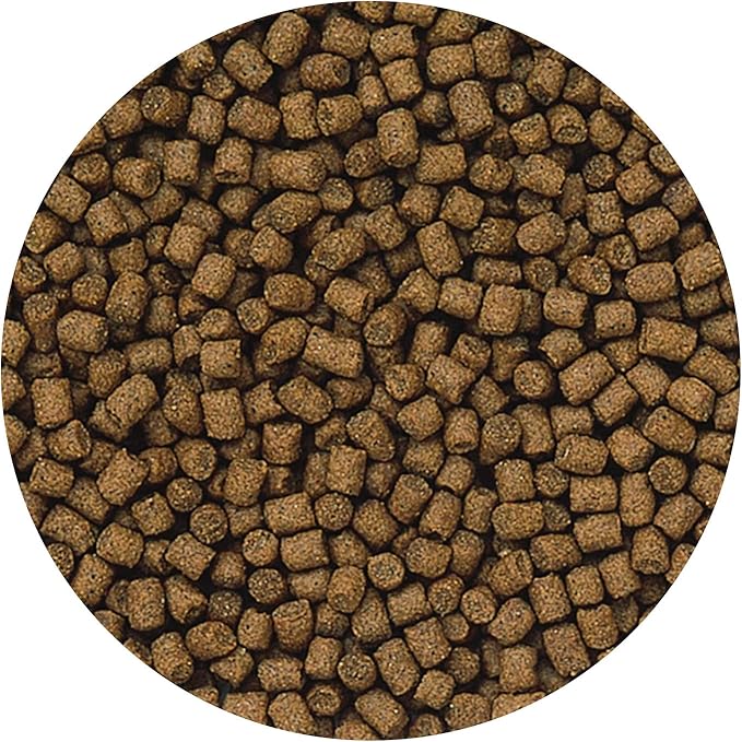 Hikari Lionhead Sinking Mini Pellets, 3.5 ounces Hikari