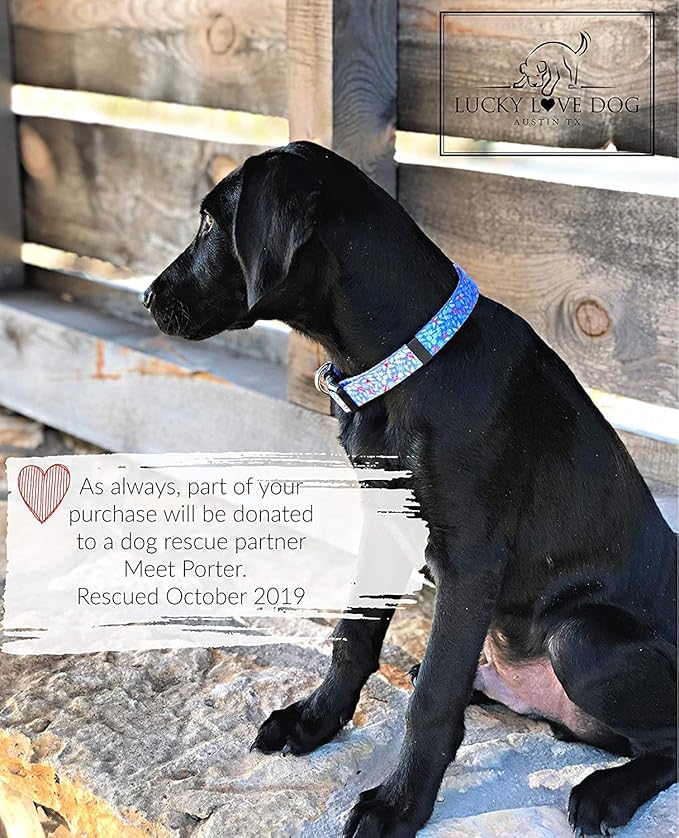 Lucky Love Dog Dog Collar, Leash Set Small, Medium, Large, Premium, Cute and Adjustable Collars for Male and Female Dogs, Winterblue Combo, Large LuckyLoveDog