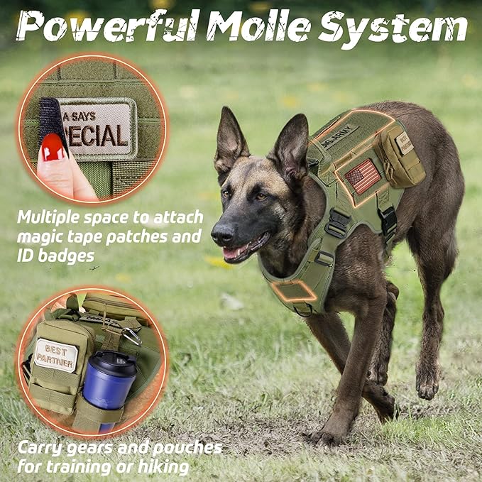 rabbitgoo Tactical Dog Harness for Small, Heavy Duty Pet Harness with Handle, No-Pull Service Vest Small Breed, Adjustable Military Dog Vest for Training Hunting Walking, Green, S rabbitgoo