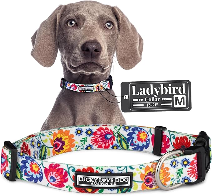 Lucky Love Dog - Adjustable Dog Collar with Easy Click Buckle for Small to Large Dogs, Durable, & Comfortable Collar for Male & Female Dogs, Pet Collar for Puppies & Adult Dogs - Ladybird, Medium LuckyLoveDog