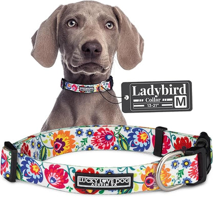 Lucky Love Dog - Adjustable Dog Collar with Easy Click Buckle for Small to Large Dogs, Durable, & Comfortable Collar for Male & Female Dogs, Pet Collar for Puppies & Adult Dogs - Ladybird, Medium LuckyLoveDog