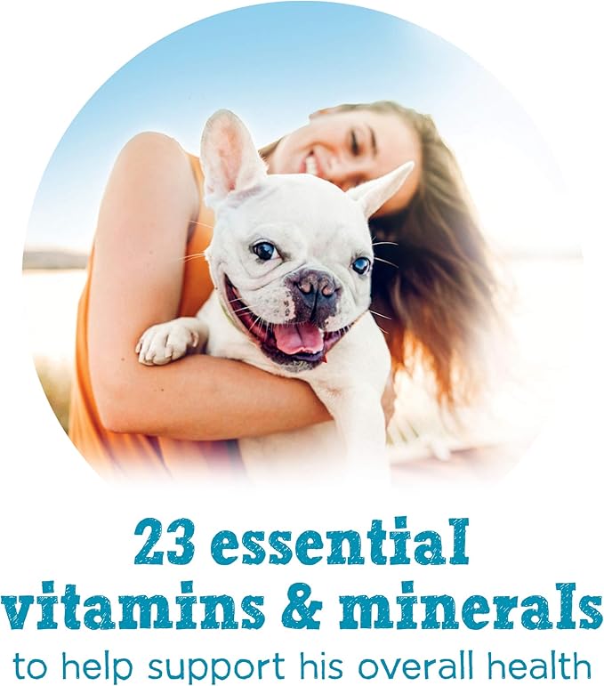 Purina Beneful Small Breed Wet Dog Food With Gravy, IncrediBites with Real Salmon - (8 Packs of 3) 3 oz. Cans - PAWPICO