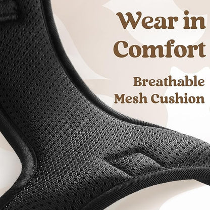 rabbitgoo Dog Harness for Large, No Pull Pet Harness with 3 Buckles, Adjustable Soft Padded Pooch Vest with Instant Control Handle, Easy Walking Reflective Pet Vest for Extra Large Dogs, Black, XL - PAWPICO