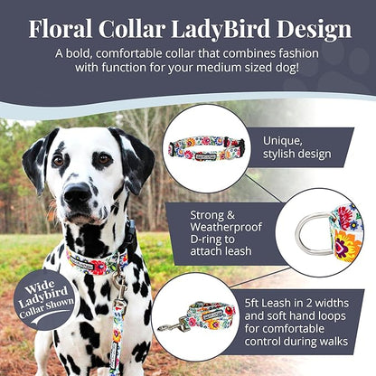 Lucky Love Dog - Adjustable Dog Collar with Easy Click Buckle for Small to Large Dogs, Durable, & Comfortable Collar for Male & Female Dogs, Pet Collar for Puppies & Adult Dogs - Ladybird, Medium LuckyLoveDog