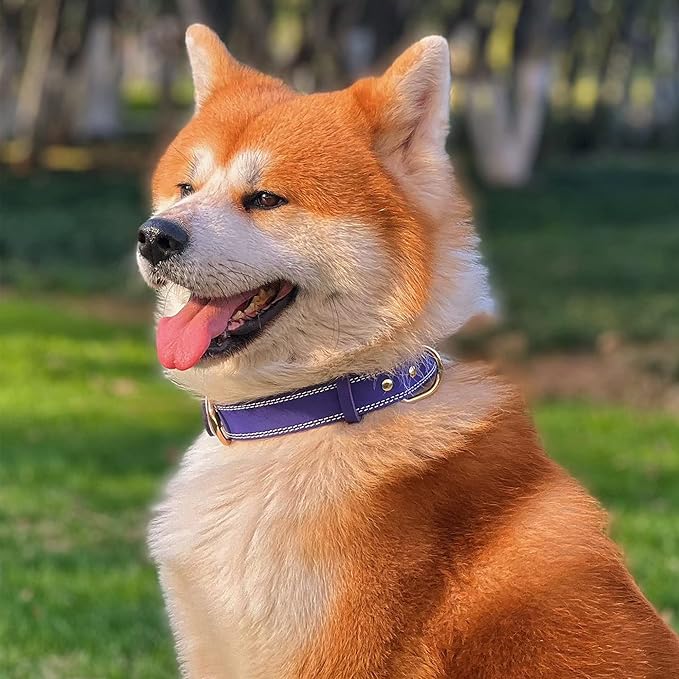 Genuine Leather Dog Collar, Heavy Duty Dog Collar, Wide Dog Collar for Small Dog, Medium Dog, Large Dog and Extra Large Dog (M: 1" Wide for 15.2"-19.2" Neck, Dual Stitch - Purple) DAIHAQIKO