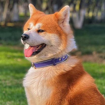 Genuine Leather Dog Collar, Heavy Duty Dog Collar, Wide Dog Collar for Small Dog, Medium Dog, Large Dog and Extra Large Dog (M: 1" Wide for 15.2"-19.2" Neck, Dual Stitch - Purple) DAIHAQIKO