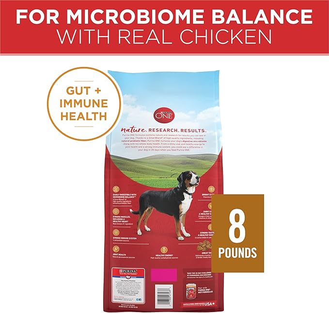 Purina ONE Chicken and Rice Formula Dry Dog Food - 8 lb. Bag - PAWPICO