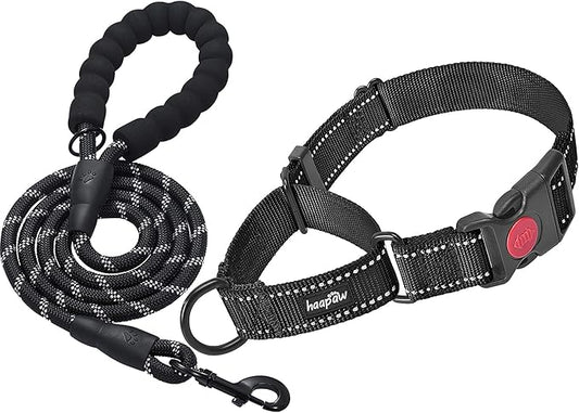 haapaw 2 Packs Martingale Dog Collar with Quick Release Buckle Reflective Dog Training Collars for Small Medium Large Dogs haapaw