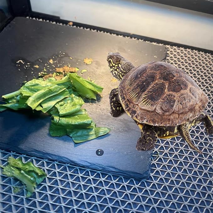 Reptile Basking Platform 2Pcs 7.8'' Tortoise Rock Plate Slate Feeding Platform Food Dish Bowl Turtle Bathing Rock Rest Terrace for Chameleon Lizard Bearded Dragon Gecko Snake Frog Newt (20CM) Tfwadmx