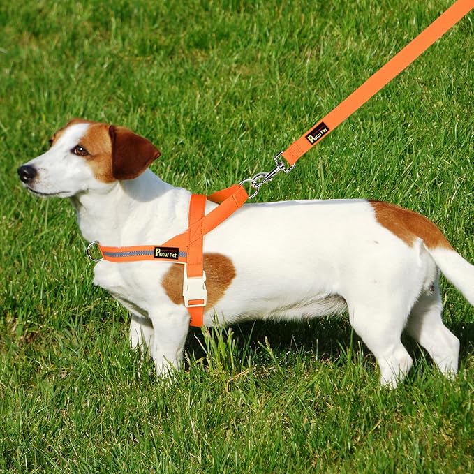 Plutus Pet Cotton Dog Harness and Leash Set, Reflective and Soft Padded, Quick Fit Vest Harness, for Small, Medium and Large Dogs, Orange, S - PAWPICO