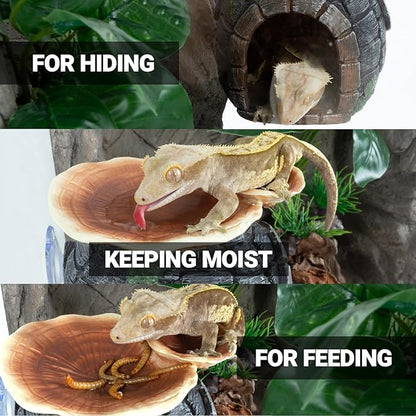 REPTI ZOO Reptile Hide, Multifunctional Reptile Hides with Suction Cup, Resin Reptile Hides, and Caves for Reptiles, Gecko, Lizard (Ganoderma Lucidum Shape) REPTIZOO