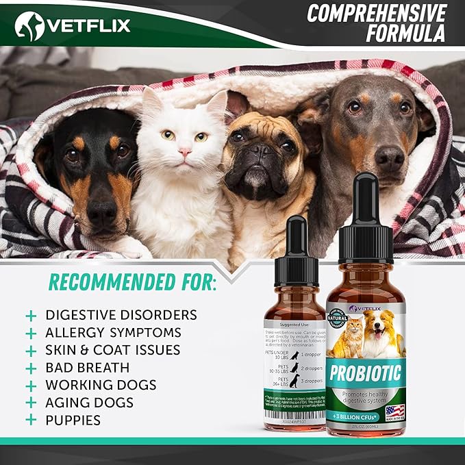 Premium Probiotics for Dogs & Cats - Digestive Enzymes & Prebiotics Supplement - Helps to Relieve Diarrhea, Vomiting, Upset Stomach, Gas, Constipation & Bad Breath - Supports Healthy Digestive System Vetflix