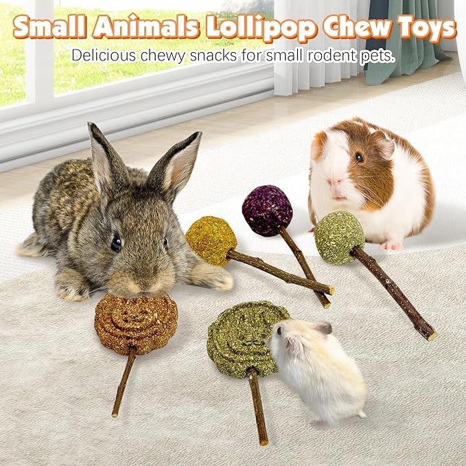 Fhiny Rabbit Chew Toys, 30 PCS Natural Bunny Lollipop Chew Sticks Handmade Guinea Pig Molar Treats for Teeth Small Animals Snacks for Guinea Pig Bunny Chinchilla Hamster Gerbil Teeth Care Fhiny