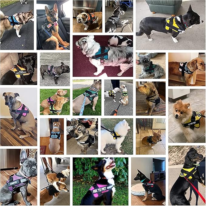 Bolux Dog Harness, No-Pull Reflective Dog Vest, Breathable Adjustable Pet Harness with Handle for Outdoor Walking - No More Pulling, Tugging or Choking X-Small (Pack of 1) RoseTurquoise Bolux