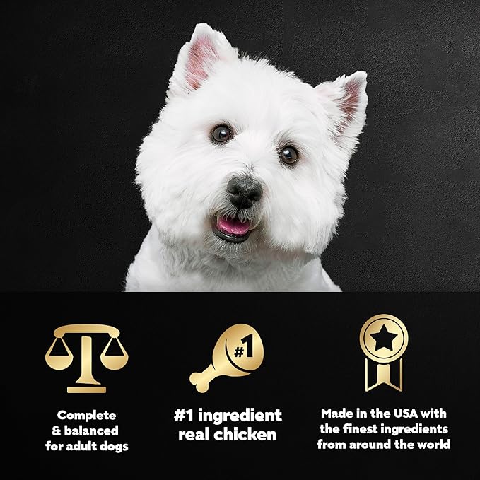 CESAR Filets in Gravy Adult Wet Dog Food, Rotisserie Chicken Flavor, 3.5 oz., Pack of 24 - PAWPICO