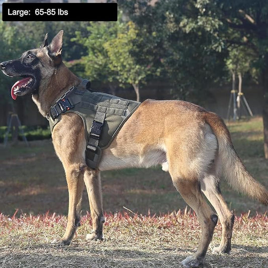 ICEFANG Tactical Dog Harness,Large Size, 2X Metal Buckle,Working Dog MOLLE Vest with Handle,No Pulling Front Leash Clip,Hook and Loop Panel ICEFANGDIRECT