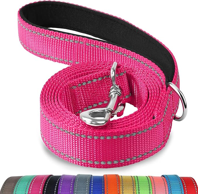Joytale Double-Sided Reflective Dog Leash, 6 FT/5 FT/4 FT, Padded Handle Nylon Heavy Duty Leashes for Small & Medium Dogs Walking, Hotpink, 4FT Joytale