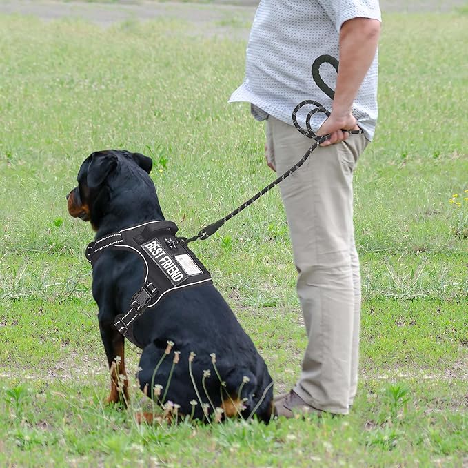 Heavy Duty Tactical Dog Harness for Large Dogs, No Pull Adjustable Pet Harness Reflective Service Training Easy Control Pet Vest Military K9 Working Dog Harnesses-X- Large, Black Beebielove