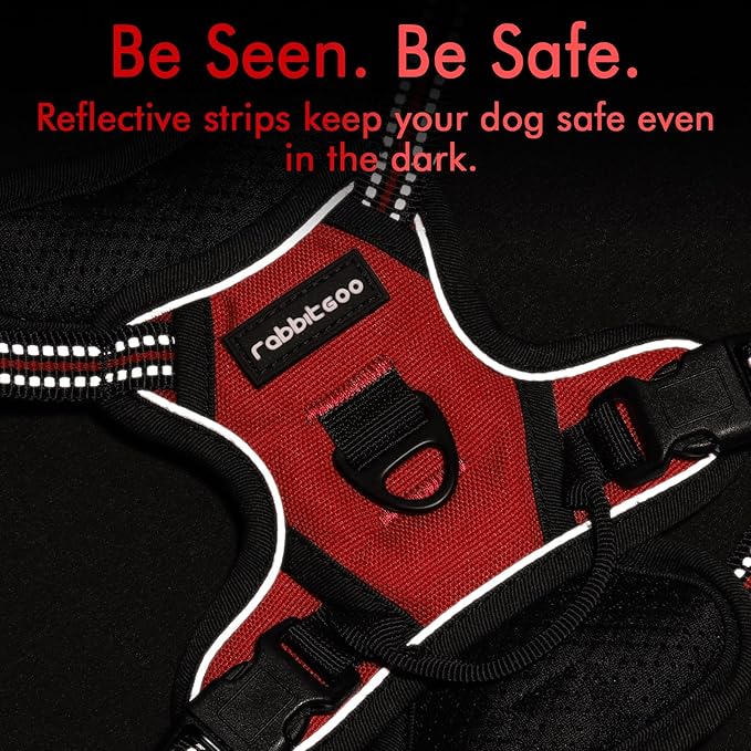 rabbitgoo Dog Harness No Pull with 2 Leash Clips, Adjustable Soft Padded, Reflective Oxford No Choke Pet Vest with Easy Control Handle for Puppy, Red,XS rabbitgoo