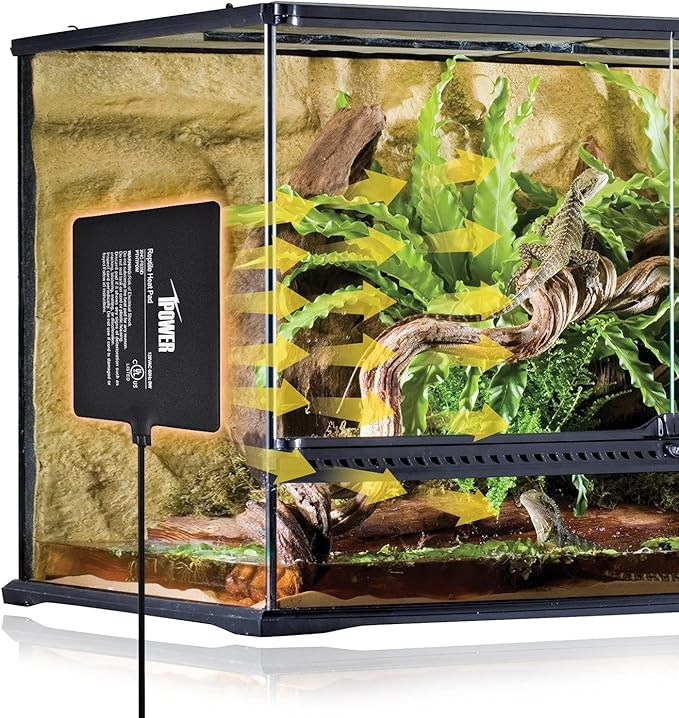 iPower 6X8 Inch Reptile Heat Pad Under Tank Heater Terrarium Warmer Heating Mat and Digital Thermostat Controller for Turtles Lizards Frogs and Other Small Animals iPower