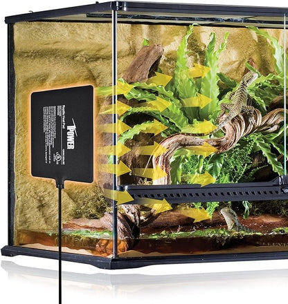 iPower 6X8 Inch Reptile Heat Pad Under Tank Heater Terrarium Warmer Heating Mat and Digital Thermostat Controller for Turtles Lizards Frogs and Other Small Animals iPower