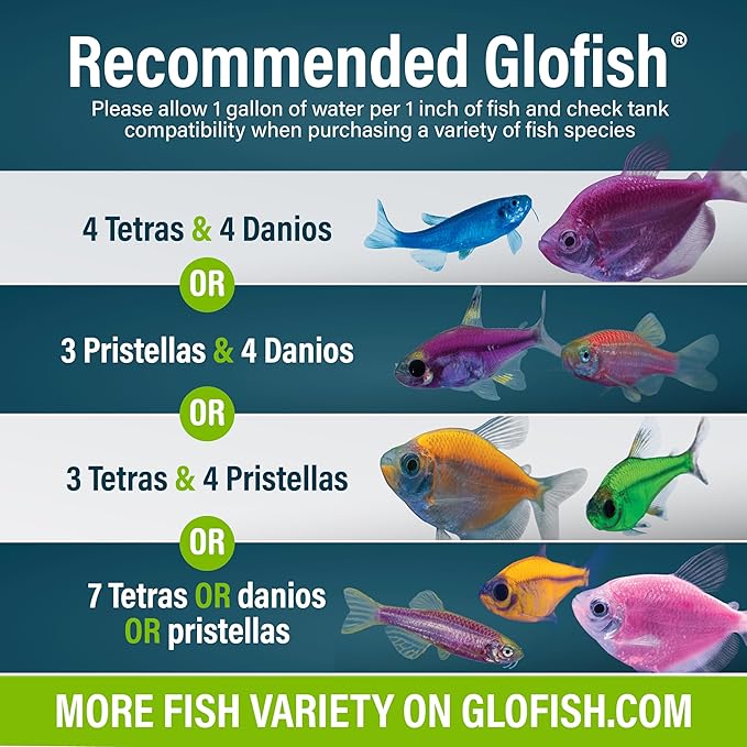 GloFish Aquarium Starter Kit, 6.6 Gallon Fish Tank, Includes Blue & White LED Lights, Tetra Whisper Bio-Bag Filter & Thermometer GloFish