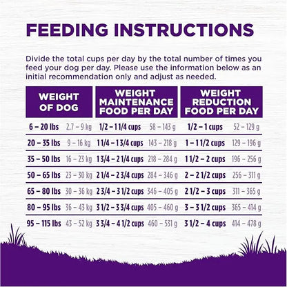 Wellness Complete Health Dry Dog Food with Grains, Natural Ingredients, Made in USA with Real Meat, All Breeds, For Adult Dogs (Healthy Weight - Chicken & Potatoes, 13-Pound Bag) - PAWPICO