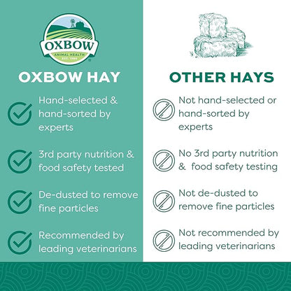Oxbow Animal Health Orchard Grass Hay - All Natural Grass Hay for Chinchillas, Rabbits, Guinea Pigs, Hamsters & Gerbils - 15 oz. OxbowAnimalHealth