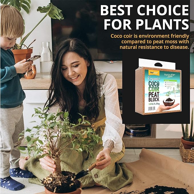 Organic Coco Coir Brick, Natural Seed Starter with Low EC and pH Balance, Enhance Root Growth in Herbs, Flowers, and House Plants, Organic with High Expansion - by Vivlly (10, Pounds) Vivlly