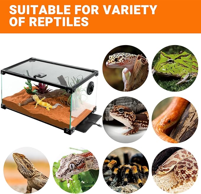 REPTI ZOO 8" X 12" Reptile Heat Pad 24W Fast Heating Pad with Adjustable Thermostat Reptile Heat Mat for Turtles/Hermit Crabs/Bearded Dragons/Leopard Geckos/Snakes/Lizards, and Seed Germination REPTIZOO