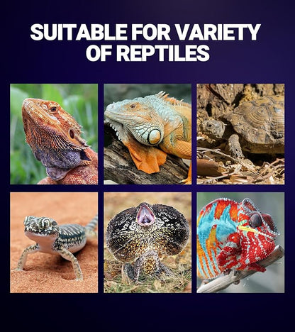 REPTI ZOO 2Pack Reptile Heat Lamp 100W Reptile Night Heat Bulb Night Heat Lamp Without UVA for Turtle Bearded Dragon Gecko Lizard and Snake E26/E27 Purple REPTIZOO
