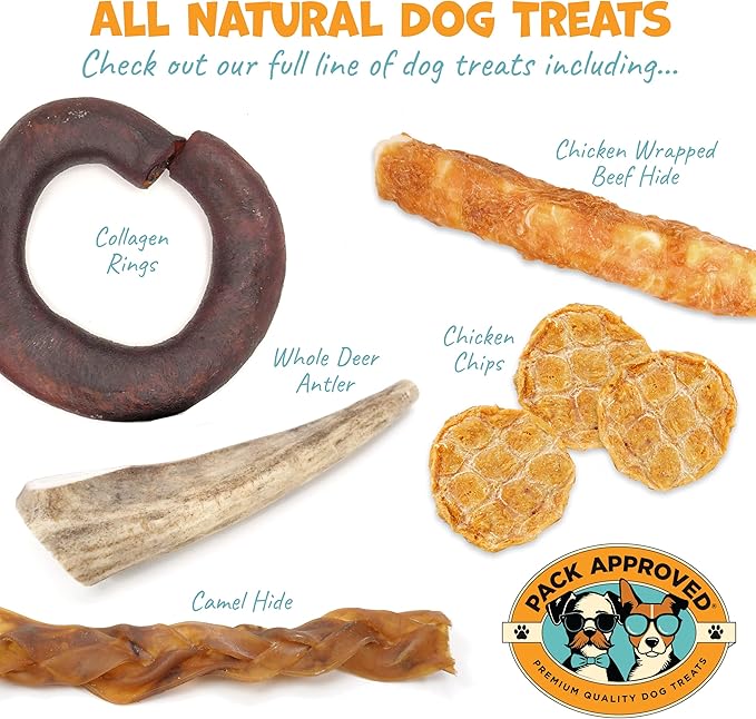 Chicken Sticks for Dogs - Dehydrated Chicken Dog Treats & Single Ingredient Dog Treat - High Protein, Low Fat Dog Treats - Chicken Treats for Dogs - Crunchy Dog Chew Sticks - 6.2oz - PAWPICO