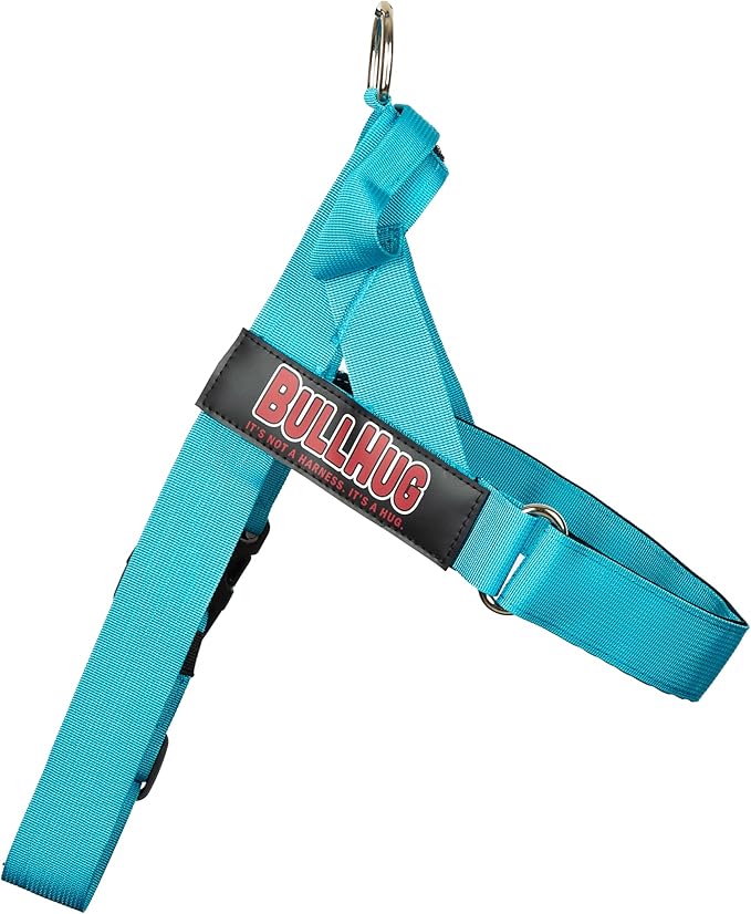 BULLHUG Harness – Made for Larger Chested Dogs Like English Bulldogs, French Bulldogs, Pugs & More. Stops Dogs from Pulling & Choking on Walks (Teal, Medium) BULLHUG