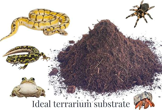 Snout and Shell Organic Coco Coir Peat Bedding Ready to Hydrate Use Substrate for Reptile or Amphibian Perfect for Frogs, Salamanders, Geckos and Snakes Increase Humidity 1.4 Lbs - 650 Grams SNOUTANDSHELL