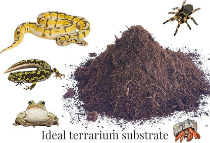 Snout and Shell Organic Coco Coir Peat Bedding Ready to Hydrate Use Substrate for Reptile or Amphibian Perfect for Frogs, Salamanders, Geckos and Snakes Increase Humidity 1.4 Lbs - 650 Grams SNOUTANDSHELL