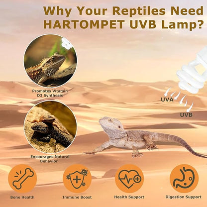 10.0 UVB Reptile Light 26W, Compact Fluorescent Desert Terrarium Lamp, Powerful Coil UVB Bulbs for Reptile Tanks and Terrariums, Ideal for Tortoises, Iguanas and Other Sun-Loving Species HARTOMPET