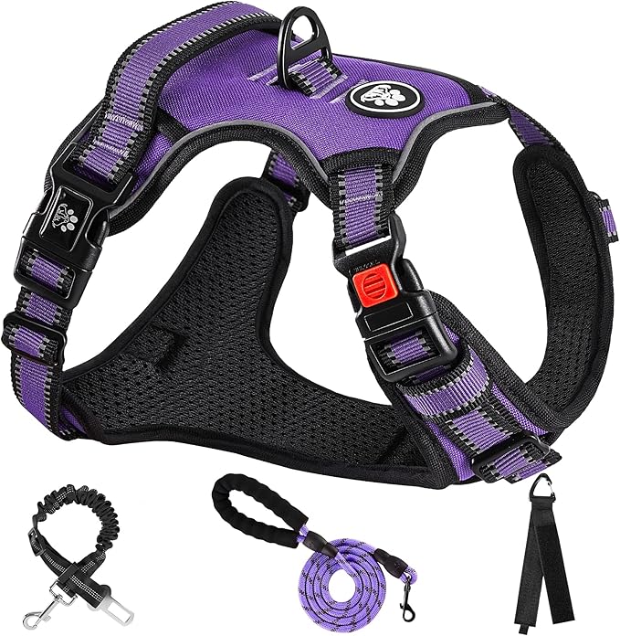 NESTROAD No Pull Dog Harness,Adjustable Oxford Dog Vest Harness with Leash,Reflective No-Choke Pet Harness with Easy Control Soft Handle for Large Dogs(Large,Purple) NESTROAD