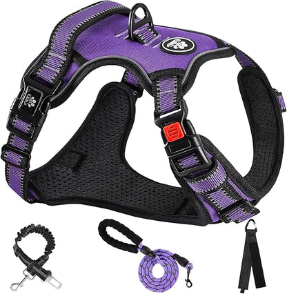 NESTROAD No Pull Dog Harness,Adjustable Oxford Dog Vest Harness with Leash,Reflective No-Choke Pet Harness with Easy Control Soft Handle for Small Dogs(Small,Purple) NESTROAD
