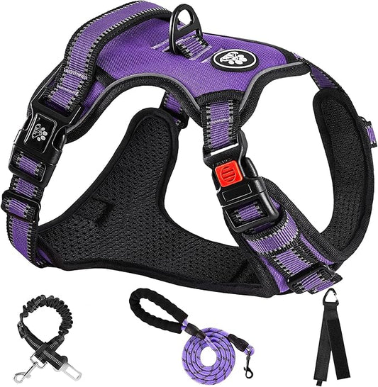 NESTROAD No Pull Dog Harness,Adjustable Oxford Dog Vest Harness with Leash,Reflective No-Choke Pet Harness with Easy Control Soft Handle for Small Dogs(Small,Purple) NESTROAD