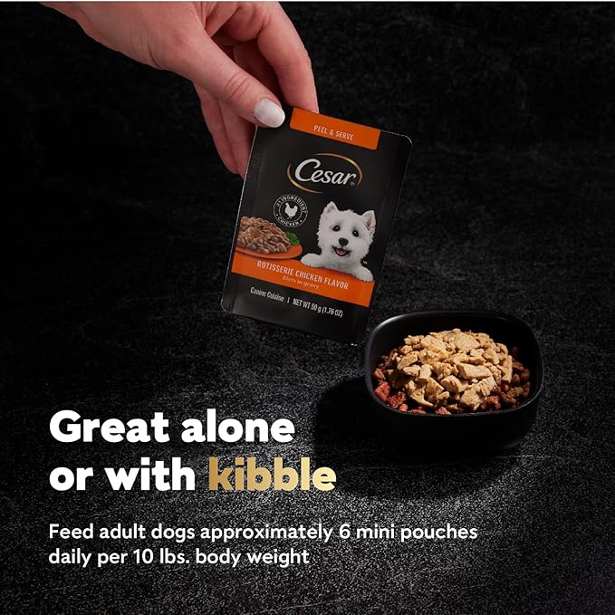 Cesar Filets in Gravy Wet Dog Food Rotisserie Chicken Flavor, 1.76 oz. Mini-Pouch, 20 Pack - PAWPICO