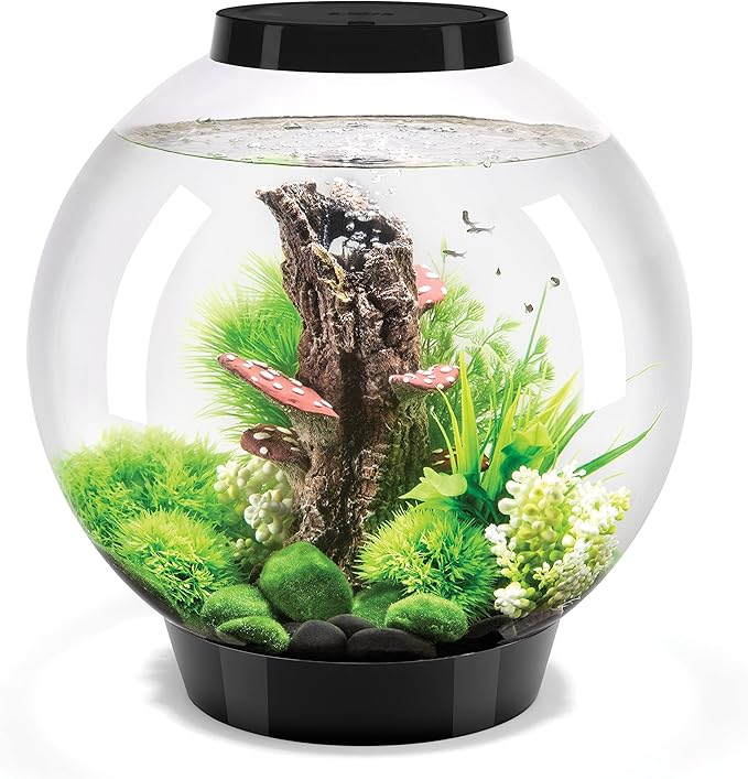 biOrb Classic 30 Acrylic 8-Gallon Aquarium with White LED Lights Modern Tank for Tabletop Display, Black biOrb