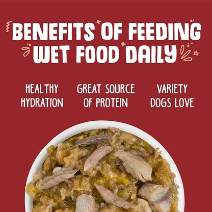 Weruva Classic Dog Food, Marbella Paella with Mackerel & Pumpkin in Aspic, 5.5Oz Can (Pack of 24) - PAWPICO