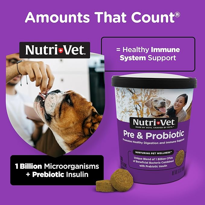 Nutri-Vet Pre and Probiotic Soft Chews for Dogs | Digestive Health Support | Tasty Alternative to Probiotic Powder | 120 Soft Chews Nutri-Vet