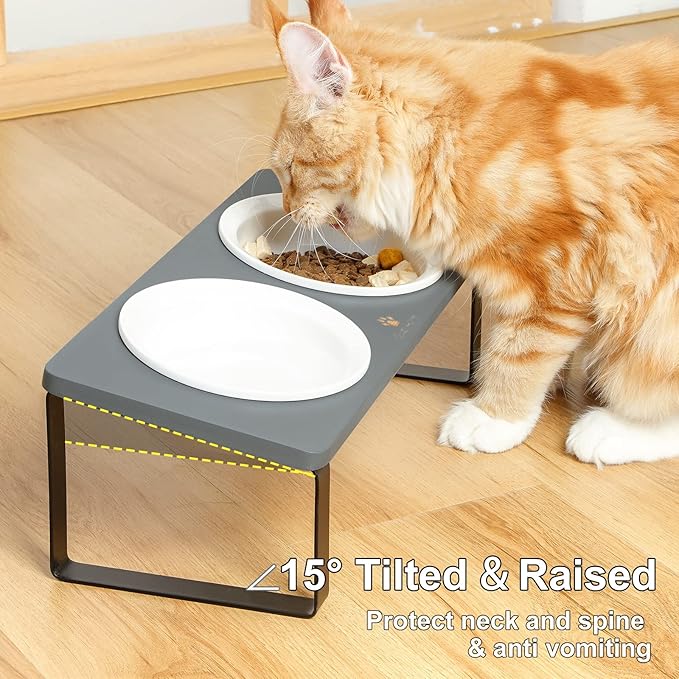 Sunhoo Ceramic Elevated Cat Bowls, Raised Puppy Dishes for Food and Water, Tilted Bamboo Stand for Anti Vomiting, Indoor 5.5 inch Wide Double Dish Orthopedic Anti-Vomiting (Grey) - PAWPICO