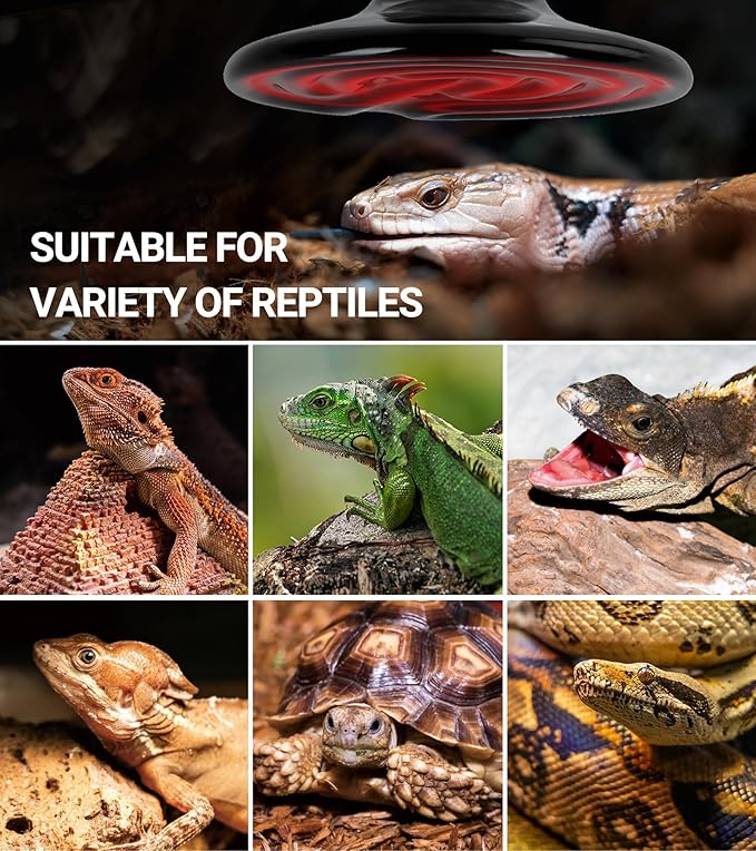 REPTI ZOO 150W Reptile Heat Lamp 2Pack Ceramic Heat Emitter Night Heat Lamp Bulbs Reptile Terrarium Heat lamp Tank Heat Bulb for Turtle Bearded Dragon Gecko Lizard Snake Chicken E26 REPTIZOO