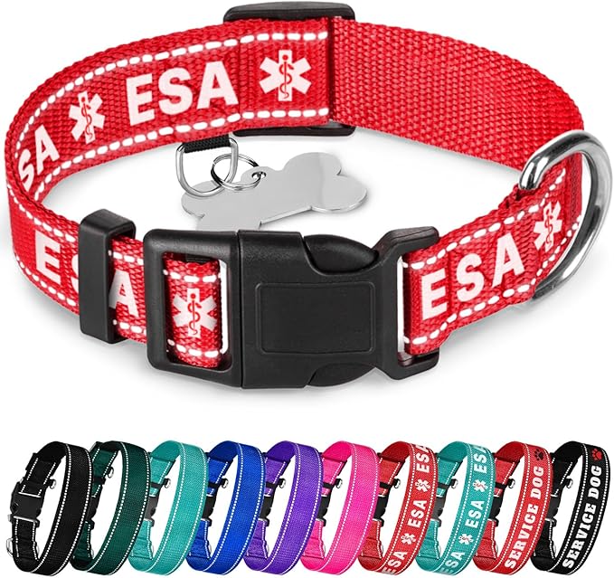 TECEUM Reflective Pet Collar – Red - ESA – L – Basic Nylon Dog Collar – Quick Release Buckle – Fits Small, Medium and Large Dogs, Puppies, Cats – ESA & Service Dog Options TECEUM