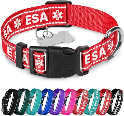 TECEUM Reflective Pet Collar – Red - ESA – L – Basic Nylon Dog Collar – Quick Release Buckle – Fits Small, Medium and Large Dogs, Puppies, Cats – ESA & Service Dog Options TECEUM