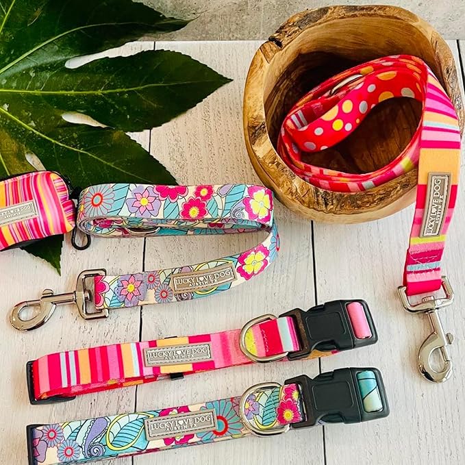 Lucky Love Dog, Colorful Stripes Dog Collar, Yellow, Pink, Blue Color Dog Collar, Cute Dog Collar for Girl Dogs - (Medium, Molly Collar) LuckyLoveDog